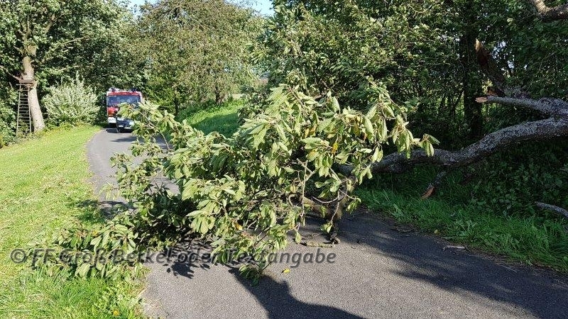 Technische Hilfeleistung Technische Hilfeleistung